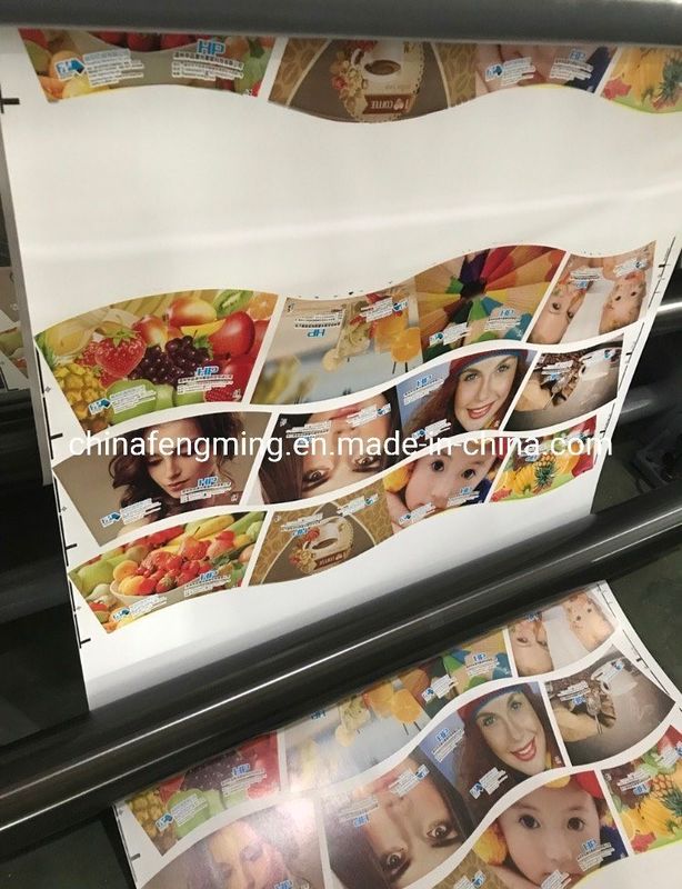 Largeur maximale de la toile 920/1020/1220 mm FM-B 920-1850 Machine d'impression flexographique pour tasse en papier