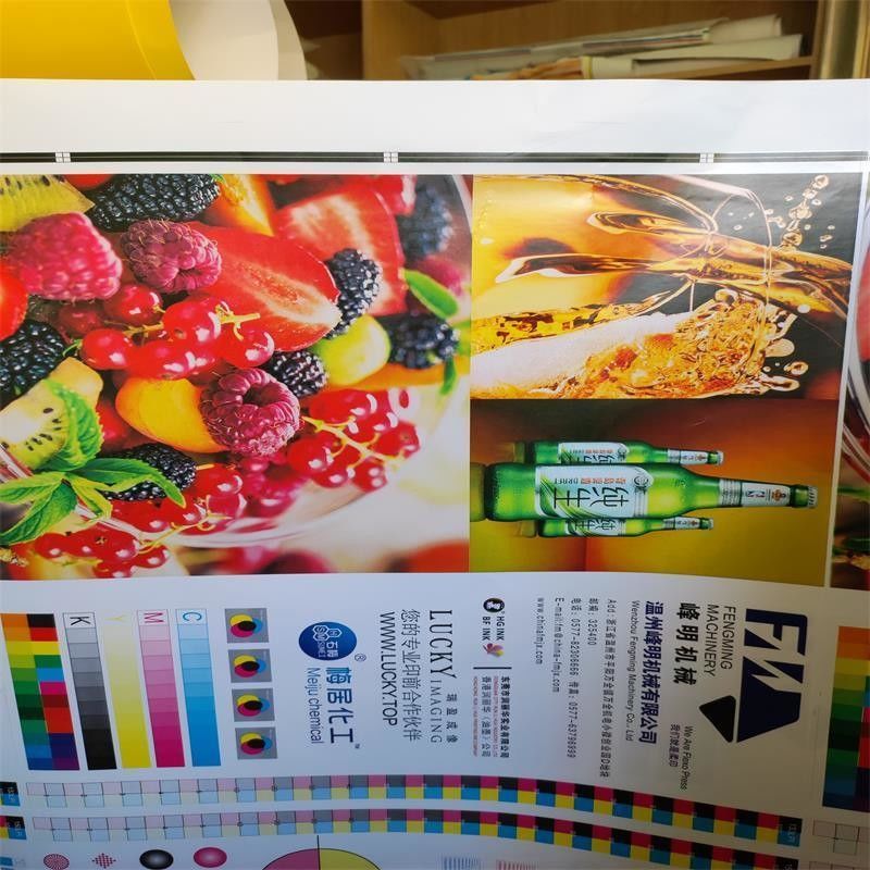 Demandes personnalisées Machine d'impression à haute vitesse à unité de couleur 6 pour rouleau de papier