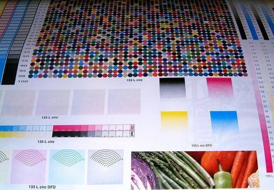 4 Machine d'impression en carton ondulé couleur pour boîtes de carton