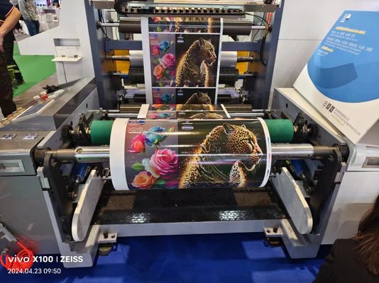 Machine d'impression à manches flexibles pour l'impression en une seule étape, processus de séchage et de rebond