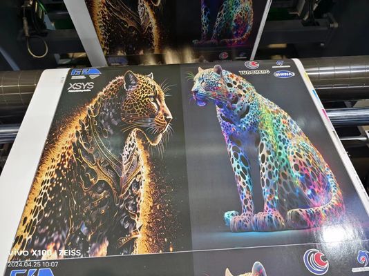 Système de séchage IR et de guidage de la toile inclus dans la machine d'impression flexo à manches